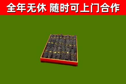 平和县回收海参